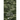 AI for Digital Warfare