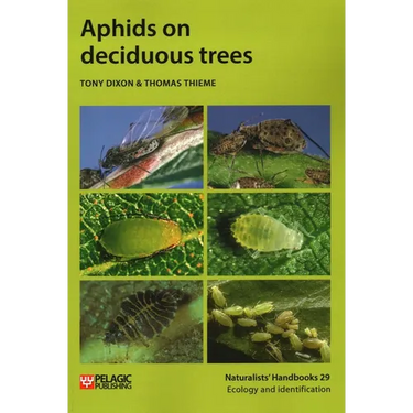 Aphids on deciduous trees