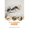 Ants breeding guide: The life and maintenance of ant colonies