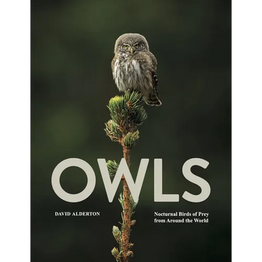 Owls: Nocturnal Birds of Prey from Around the World
