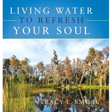 Living Water to Refresh Your Soul