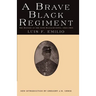 A Brave Black Regiment