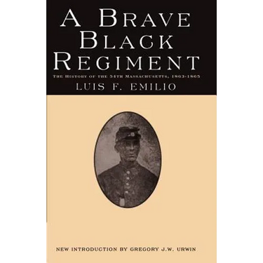 A Brave Black Regiment