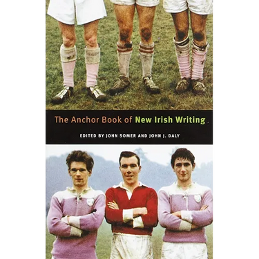 The Anchor Book of New Irish Writing