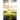 Before His Throne: 365 Days Of Inspirational Prayers, Bringing You Closer To God.