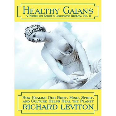 Healthy Gaians: How Healing Our Body, Mind, Spirit, and Culture Helps Heal the Planet
