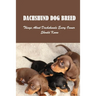 Dachshund Dog Breed: Things About Dachshunds Every Owner Should Know: Can You Breed A Mini Dachshund With A Standard