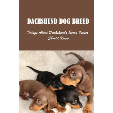 Dachshund Dog Breed: Things About Dachshunds Every Owner Should Know: Can You Breed A Mini Dachshund With A Standard