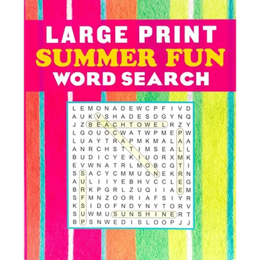 Large Print Summer Fun Word Search