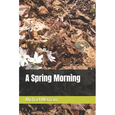 A Spring Morning