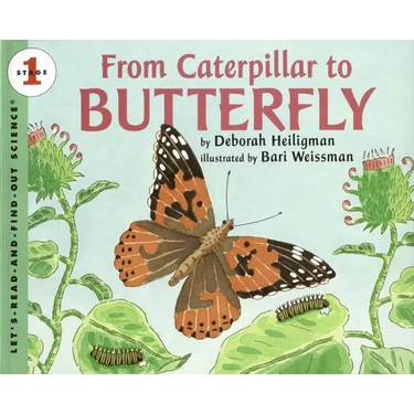 From Caterpillar to Butterfly