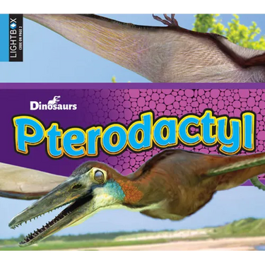 Pterodactyl