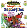 Caterpillars to Butterflies