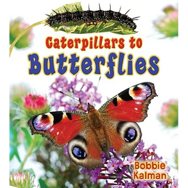 Caterpillars to Butterflies