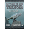 Ridde of the Gods: Olaf's Saga Book 4