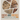 Rocks and Fossils: Records of Time Fossil Guide Book Grade 5 Children's Earth Sciences Books