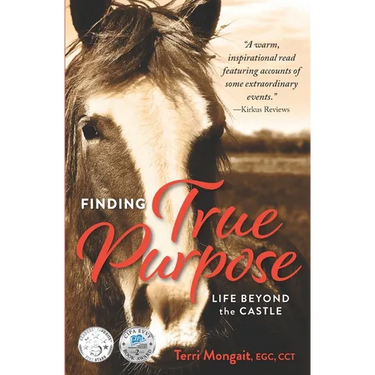 Finding True Purpose: Life Beyond The Castle