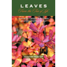 Leaves from the Tree of Life: Sermons for Children