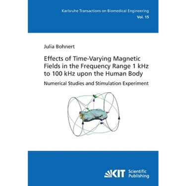 Effects of Time-Varying Magnetic Fields in the Frequency Range 1 kHz to 100 kHz upon the Human Body: Numerical Studies and Stimulation Experiment