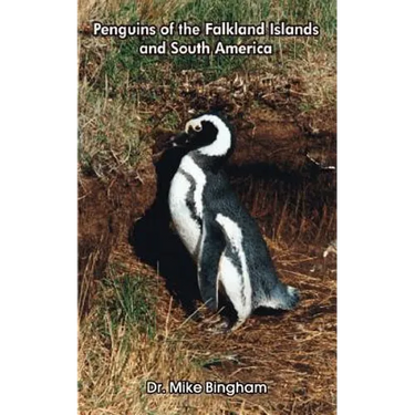 Penguins of the Falkland Islands and South America