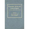 Economic, Social, and Cultural Rights: A Legal Resource Guide
