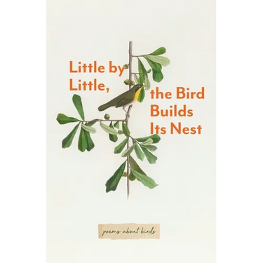 Little By Little, The Bird Builds Its Nest