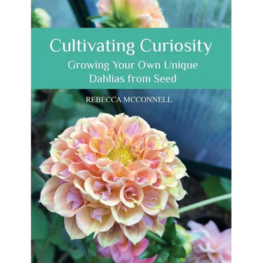 Cultivating Curiosity: Growing Your Own Unique Dahlias from Seed
