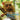 How To Protect Endangered Animals - Animal Book Age 10 Children's Animal Books