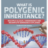 What is Polygenic Inheritance? Multiple Alleles, Codominance and Incomplete Dominance Explained Grade 6-8 Life Science
