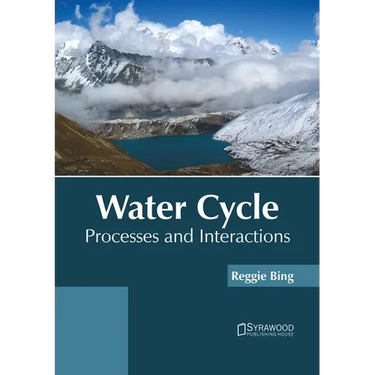 Water Cycle: Processes and Interactions