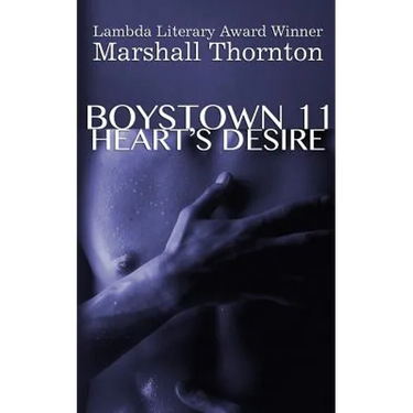Boystown 11: Heart's Desire