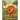 The Angry Lion