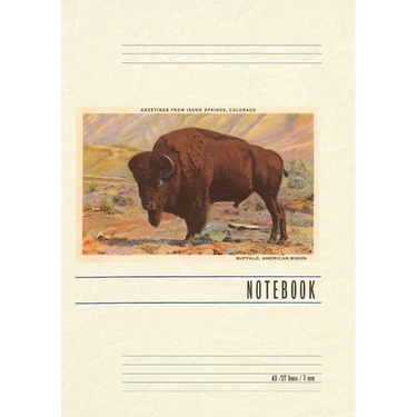 Vintage Lined Notebook Greetings from Idaho Springs