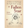 Fallen Star: A Return to Self through the Eight Limbs of Yoga