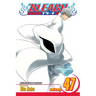 Bleach, Vol. 47: End of the Chrysalis Age