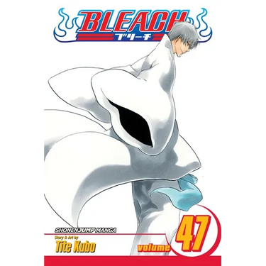 Bleach, Vol. 47: End of the Chrysalis Age