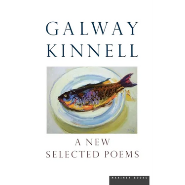 A New Selected Poems