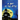 A Bat in the Attic