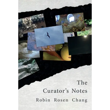 The Curator's Notes