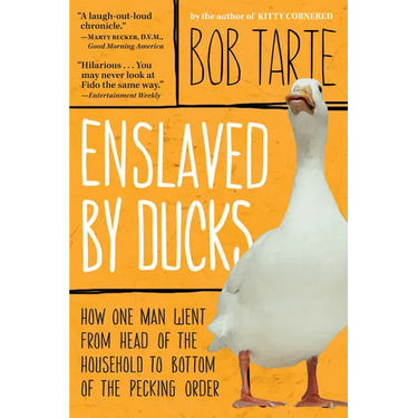 Enslaved by Ducks