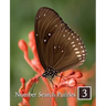 Number Search Puzzles 3: 100 Elegant Puzzles in Large Print