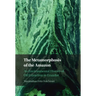 The Metamorphosis of the Amazon