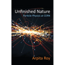 Unfinished Nature: Particle Physics at Cern