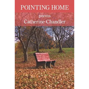 Pointing Home