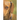 Dachshund Notes