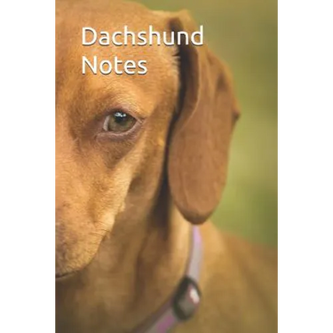 Dachshund Notes