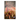 The American Revolution (Vol. 1-3): Illustrated Edition