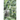Biofuels