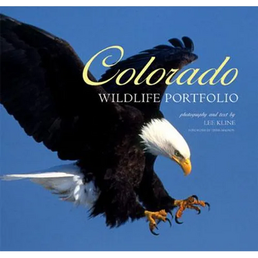 Colorado Wildlife Portfolio