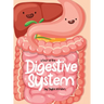 A Tour Of The Digestive System